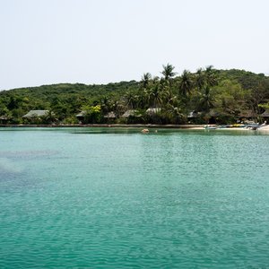 Île de la baleine