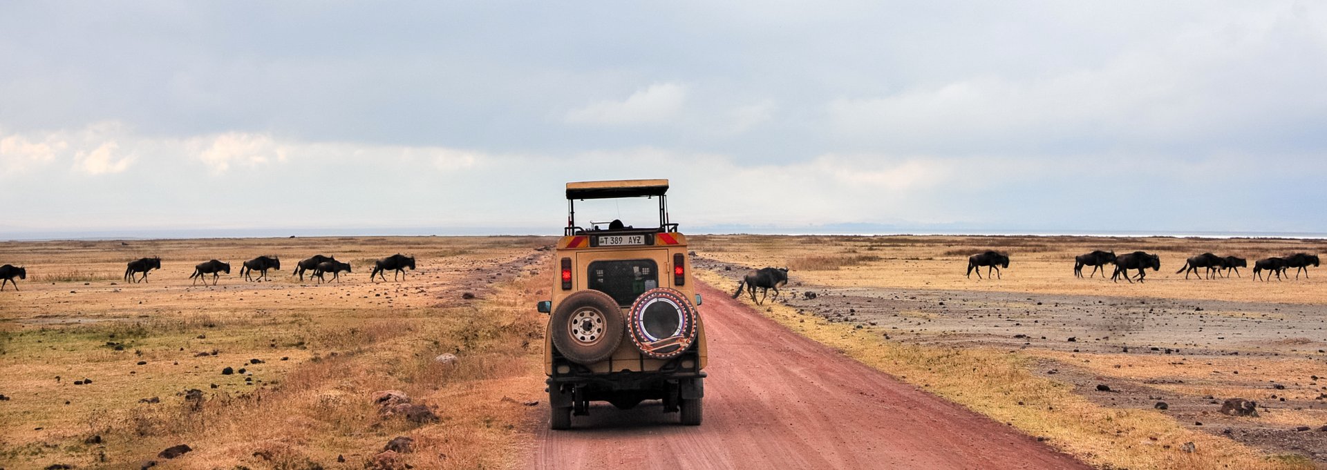 Voiture   Tanzanie