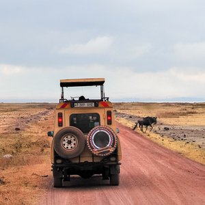 Voiture   Tanzanie