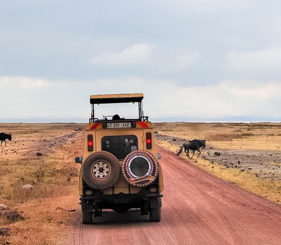 Voiture   Tanzanie