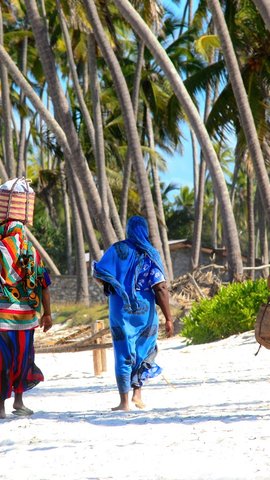 VOYAGE COMBINE    zanzibar Dimitry Sukhov