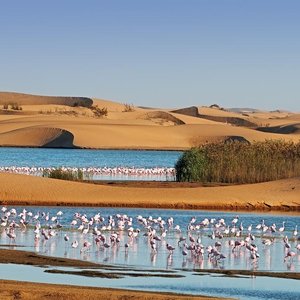 Walvis Bay   Namibie