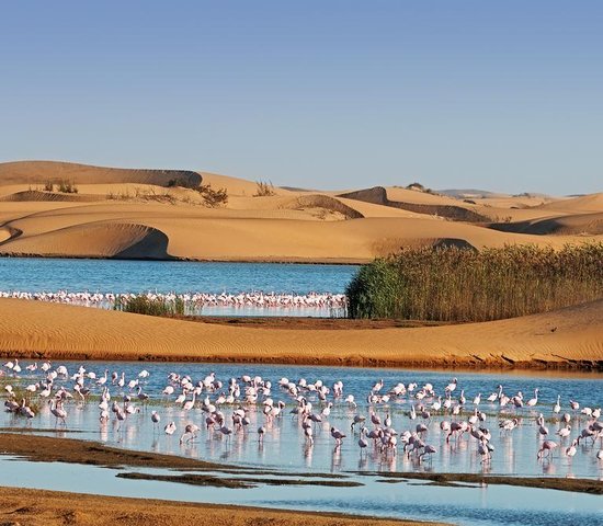 Walvis Bay   Namibie