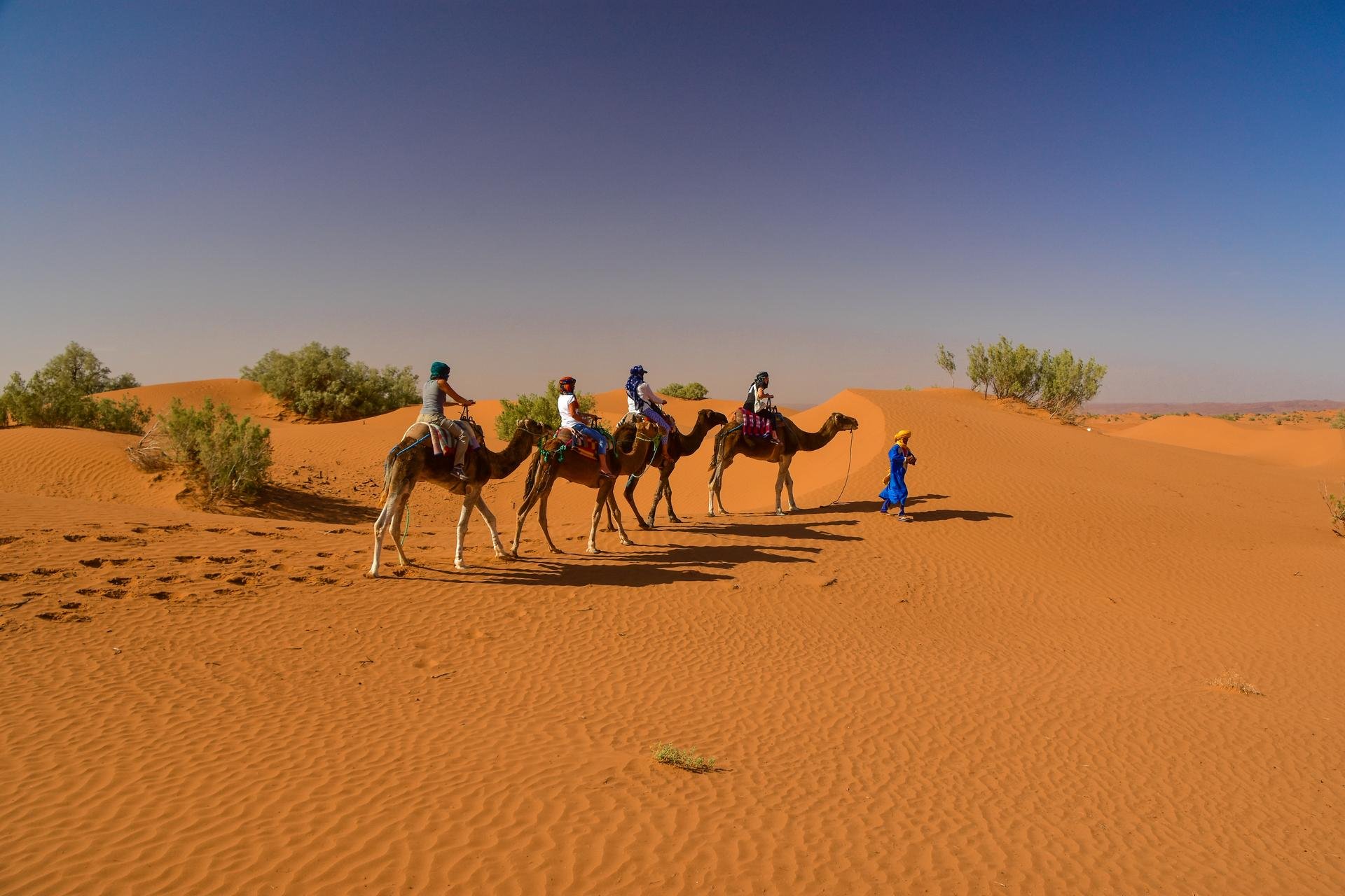 Zagora Maroc