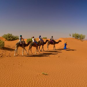 Zagora Maroc