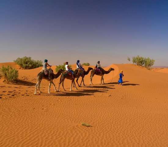 Zagora Maroc